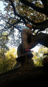 in-our-element-climbing a tree